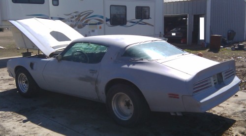 1976 Trans Am drivers rear